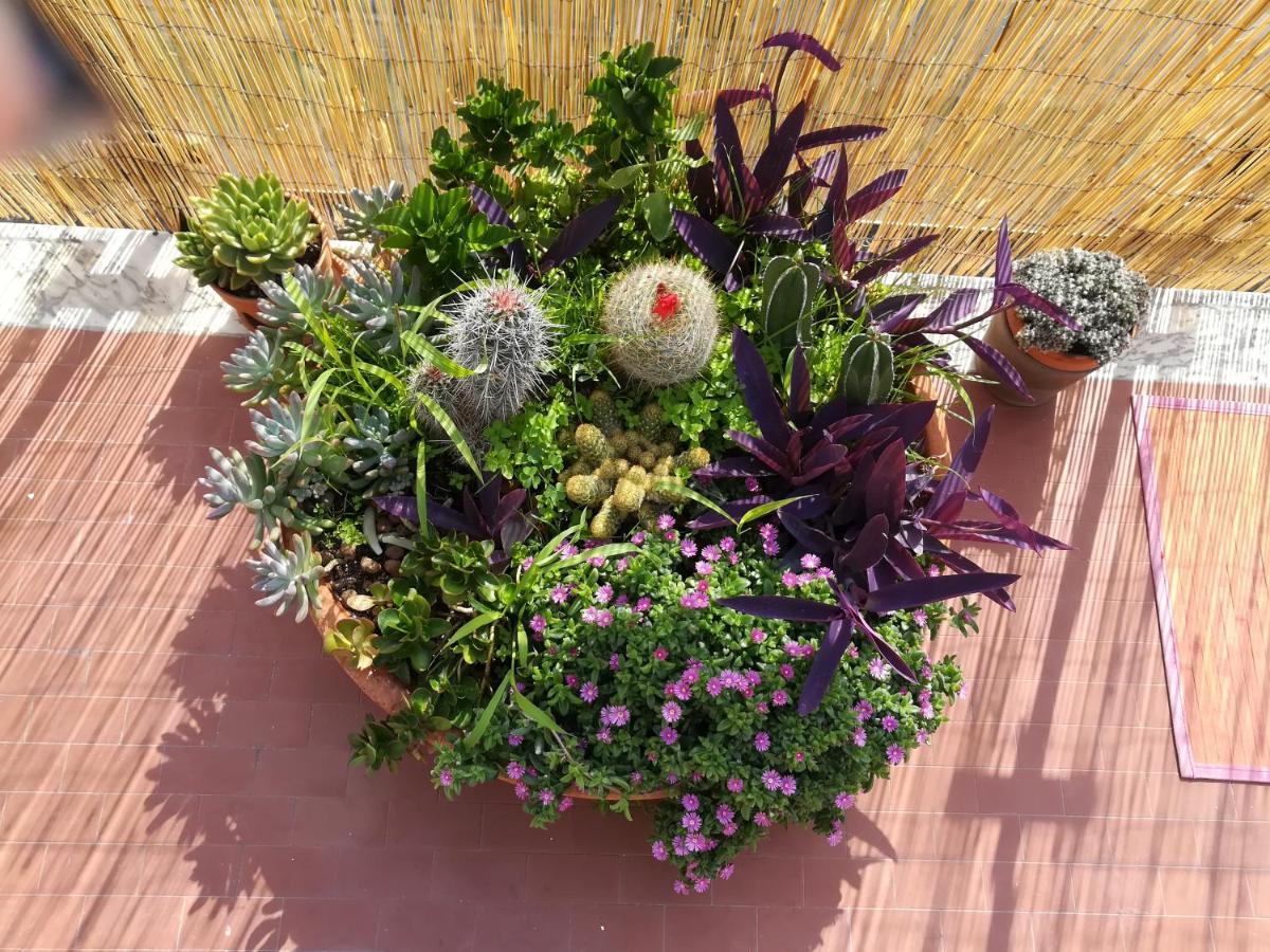 B&B La Terrazza Near The Beach Μπάρι Εξωτερικό φωτογραφία